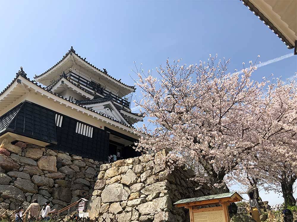遠州　浜松城