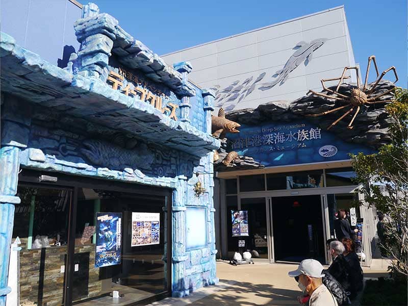 岳麓　沼津深海魚水族館