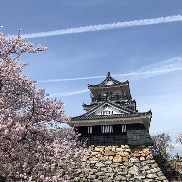 遠州　浜松城