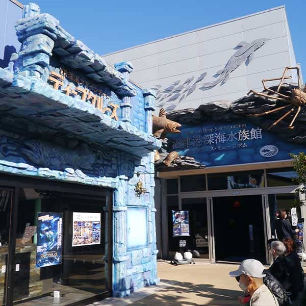 岳麓　沼津港深海魚水族館